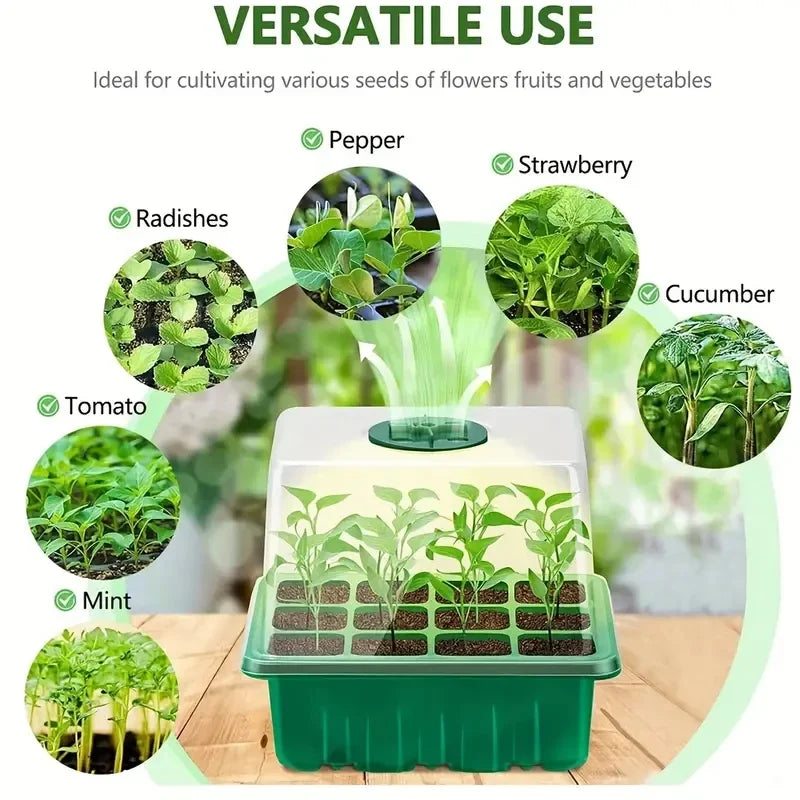 12-Hole Seedling Box – Gardening Grow Box with Breathable Clear Cover