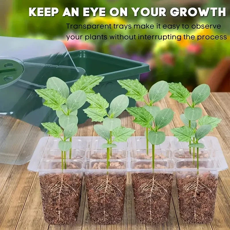 12-Hole Seedling Box – Gardening Grow Box with Breathable Clear Cover