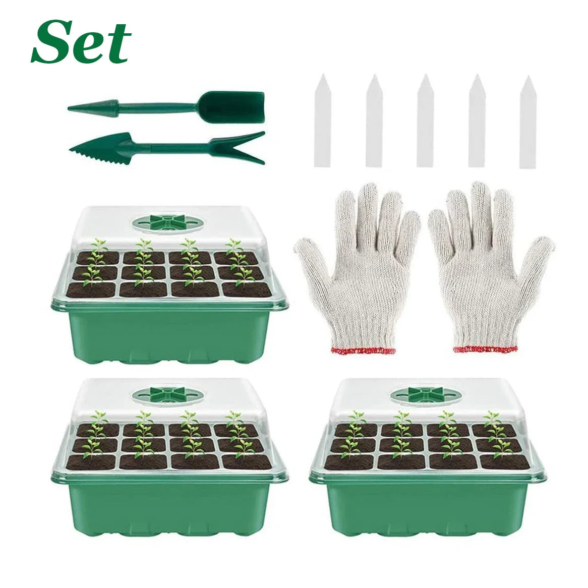 12-Hole Seedling Box – Gardening Grow Box with Breathable Clear Cover