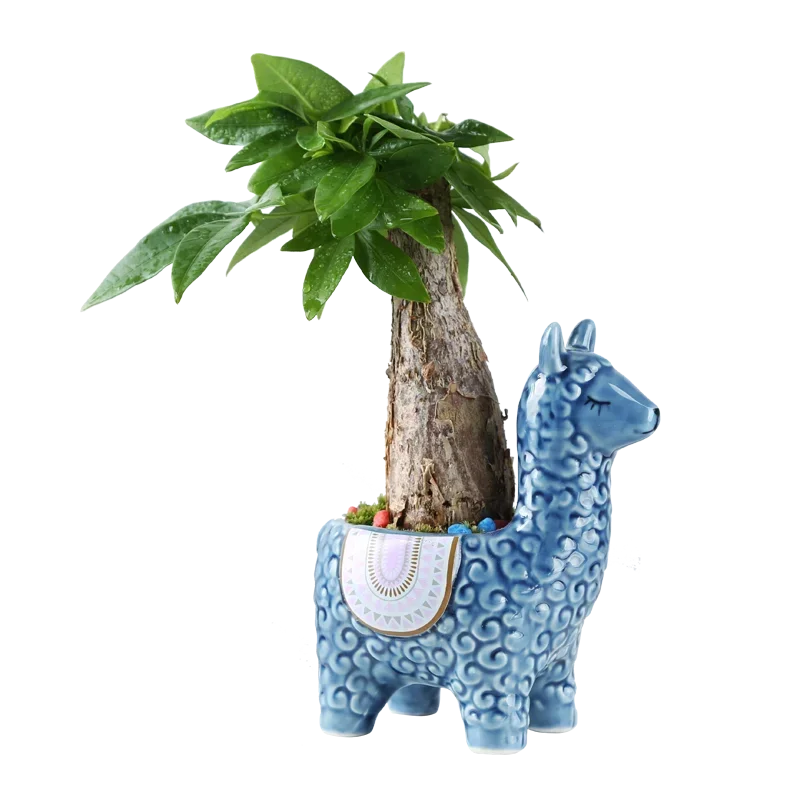Cartoon Cute Alpaca Ceramic Succulent Flower Pot – Creative Decorative Gift