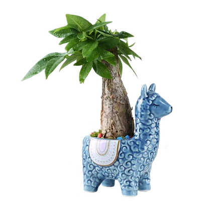 Cartoon Cute Alpaca Ceramic Succulent Flower Pot – Creative Decorative Gift